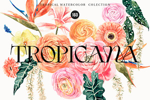 Tropicana Watercolor Exotic Flowers