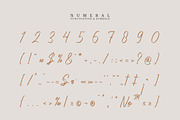 Leneora Seraphine Brush Handwritten, a Script Font by Denustudios (Thumbnail 12 of 15)