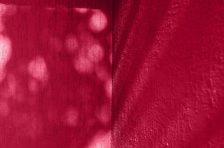 Textured wall with shadow from trees. Color of the Year 2023 Viva Magenta color, an Abstract Photo by Anikona