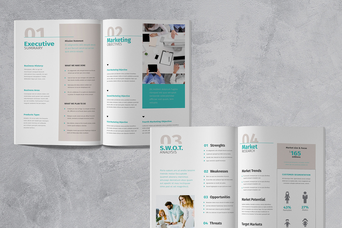 Marketing Plan Template, a Brochure Template by Sabin (Photo 3 of 7)