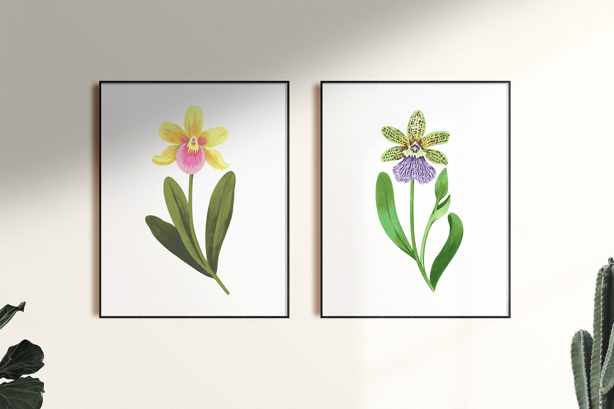 Crazy orchids. Vector patterns., a Pattern Graphic by Robusta (Photo 17 of 17)