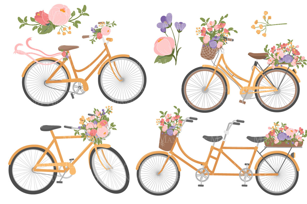 Wildflowers Floral Bicycles Clipart, an Illustration by Amanda Ilkov (Photo 5 of 5)