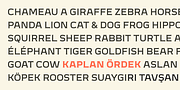 Meguro Serif, a Serif Font by GT&CANARY (Thumbnail 6 of 12)