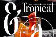 Silent Gingers Modern Serif Font, a Serif Font by timelesstype.co (Thumbnail 6 of 20)