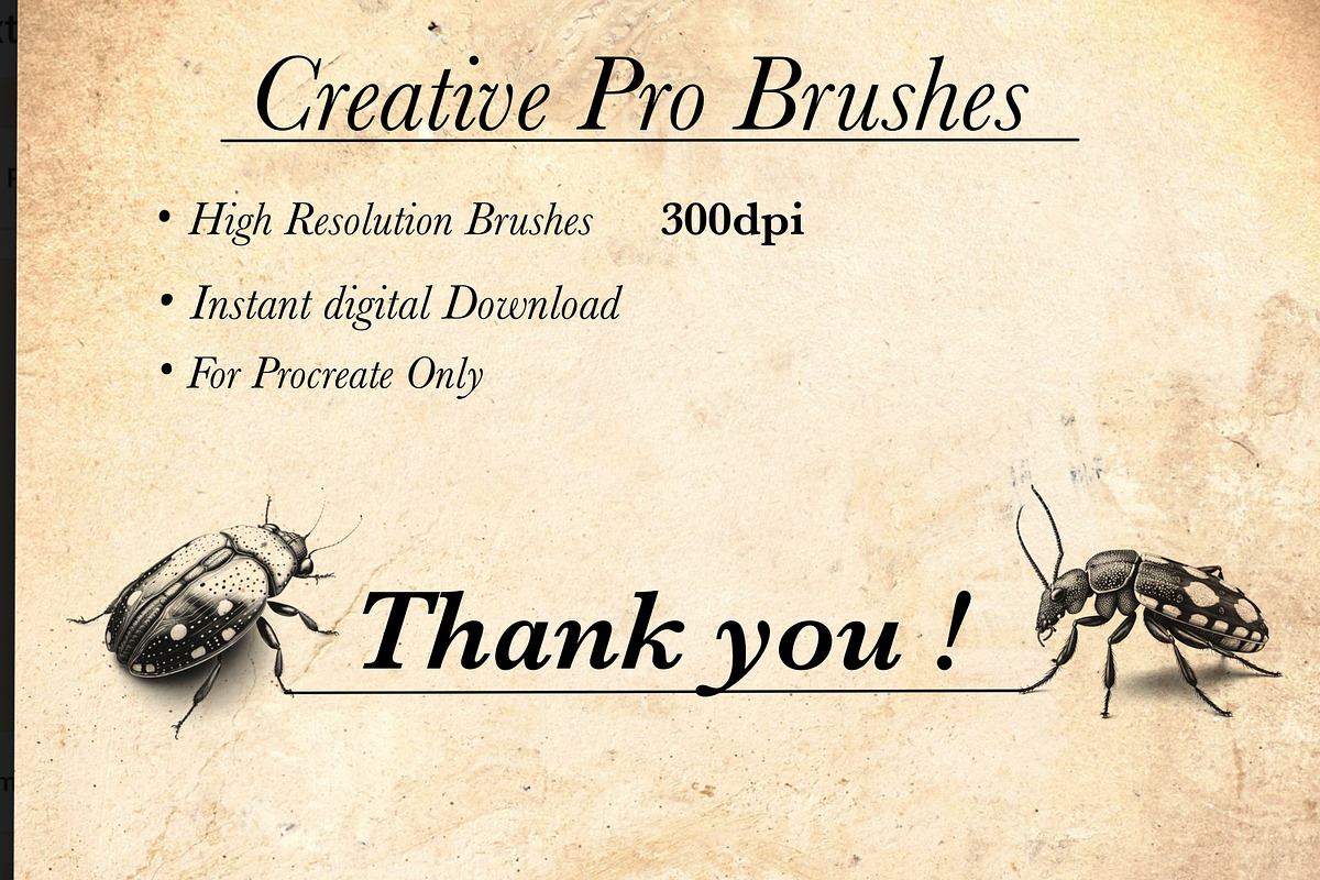 Beetle & Insect Procreate Stamps, a Brush Add-On by CreativeProBrushes (Photo 5 of 5)