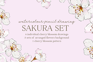 Watercolour Sakura Drawing Set, an Illustration by elpple