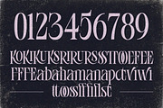 ENDORF | FONT, a Serif Font by The_Type (Thumbnail 10 of 12)