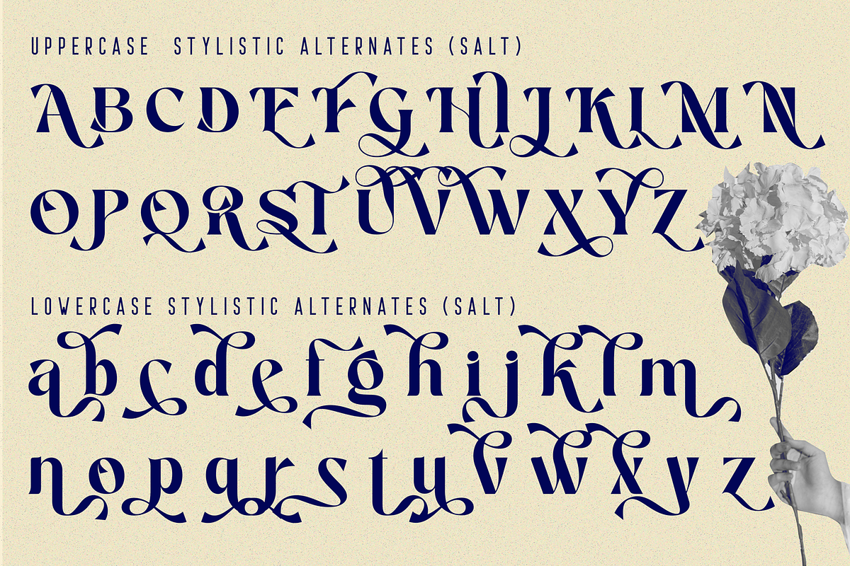 Material Lettering - Luxury Serif, a Serif Font by 177Studio (Photo 8 of 9)