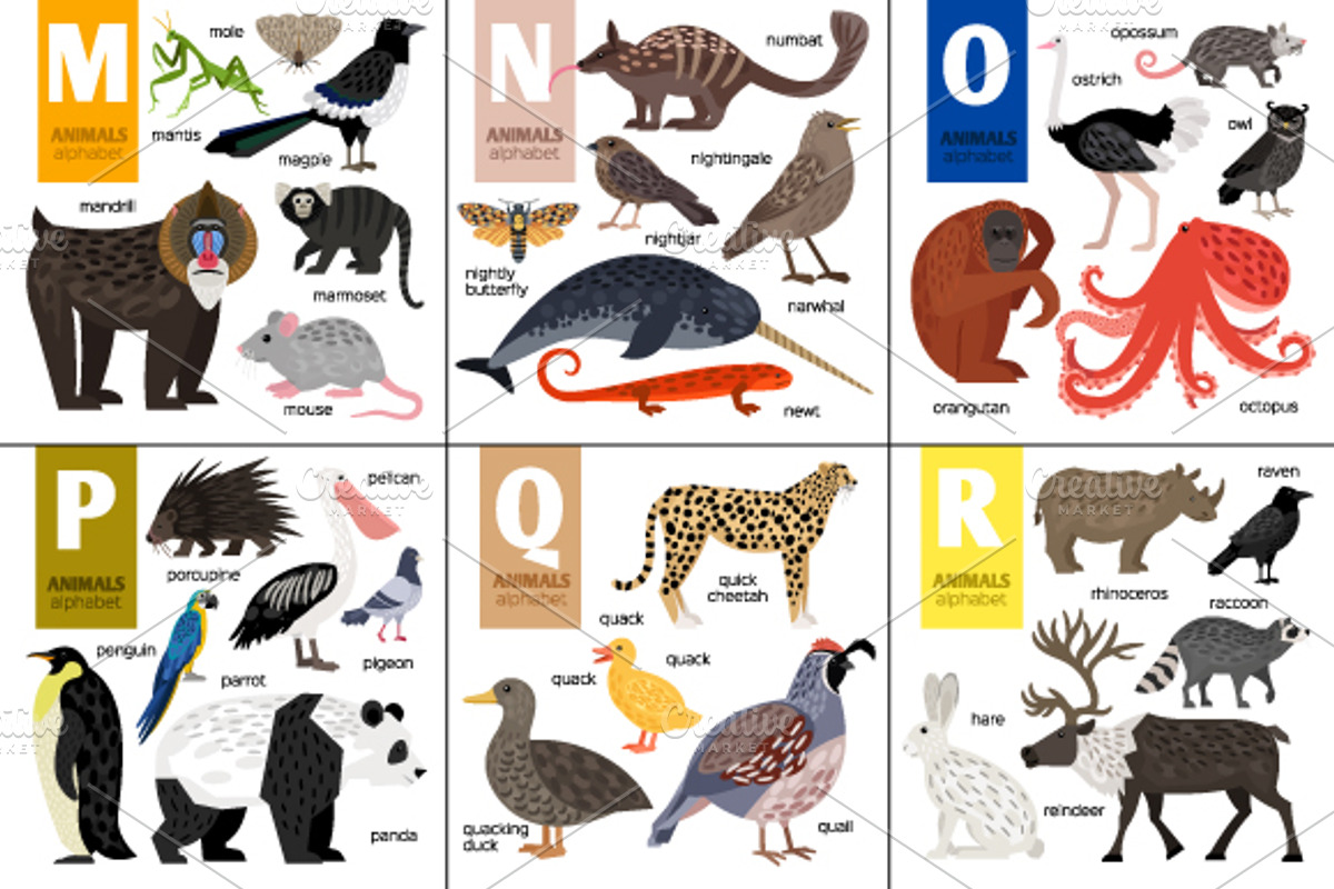 Alphabet with Animals, an Object Graphic by ianakauri (Photo 3 of 4)