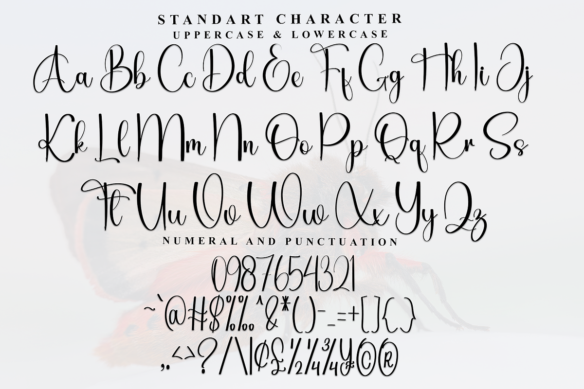 Wings, a Handwritten Font by FreshTypeINK (Photo 8 of 8)