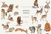Fall & Winter Woodland Animals set, an Animal Illustration by Grace Noboa Illustrations (Thumbnail 11 of 17)