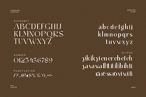 Sayiker Modern Ligature Serif Font