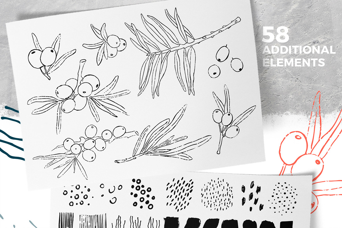 Sea buckthorn vector collection, a Pattern Graphic by Kate Art (Photo 3 of 25)
