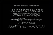 Carimba - Monoline Script, a Font by Heybrinc Studio (Thumbnail 2 of 7)