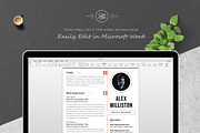 Professional Resume / CV Templates, a Resume Template by ResumeInventor (Thumbnail 5 of 6)
