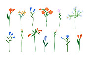 Flowers, blooming plants. Floral set, a Decorative Illustration by Good Studio (Thumbnail 3 of 5)