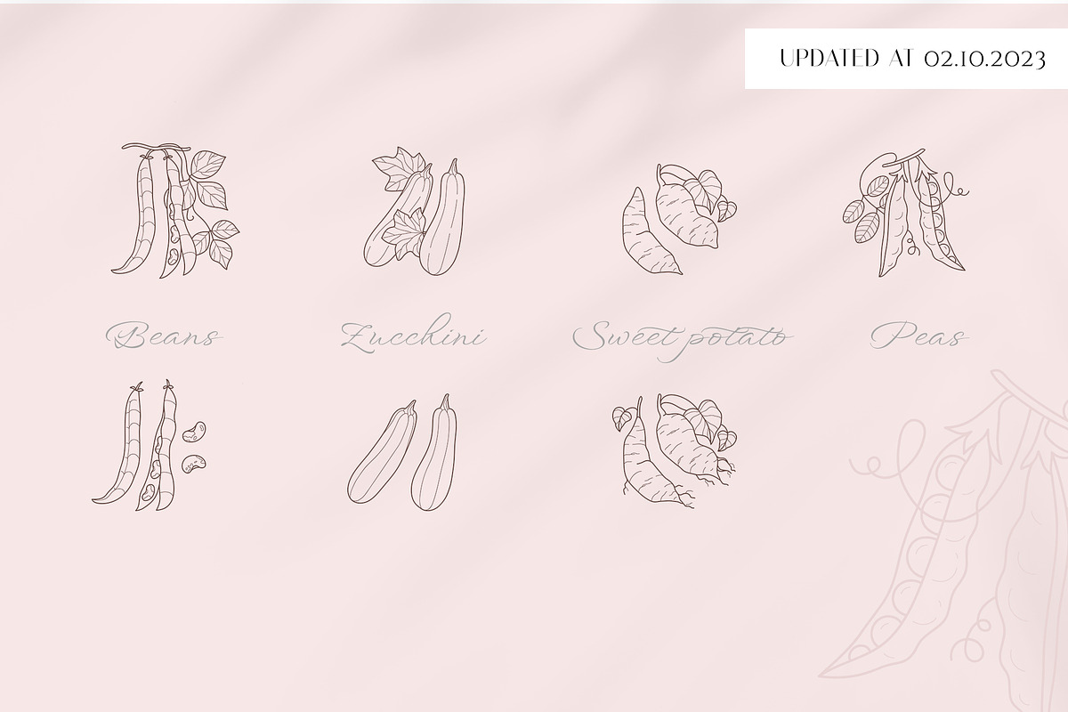 Veggies logo elements and templates, a Graphic by Vasylyka (Photo 7 of 11)