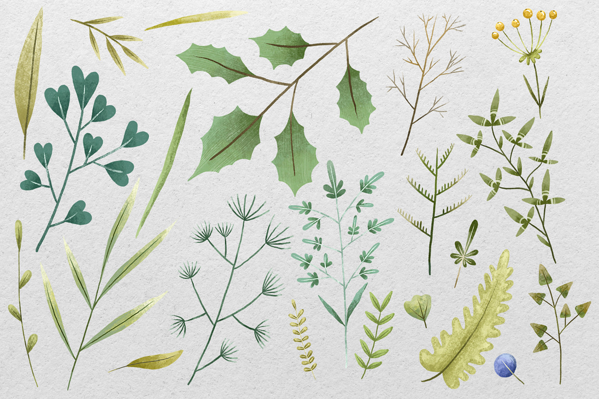 Hand-Painted Herbs & Spices: Botanic, a Decorative Illustration by the_myro (Photo 3 of 5)