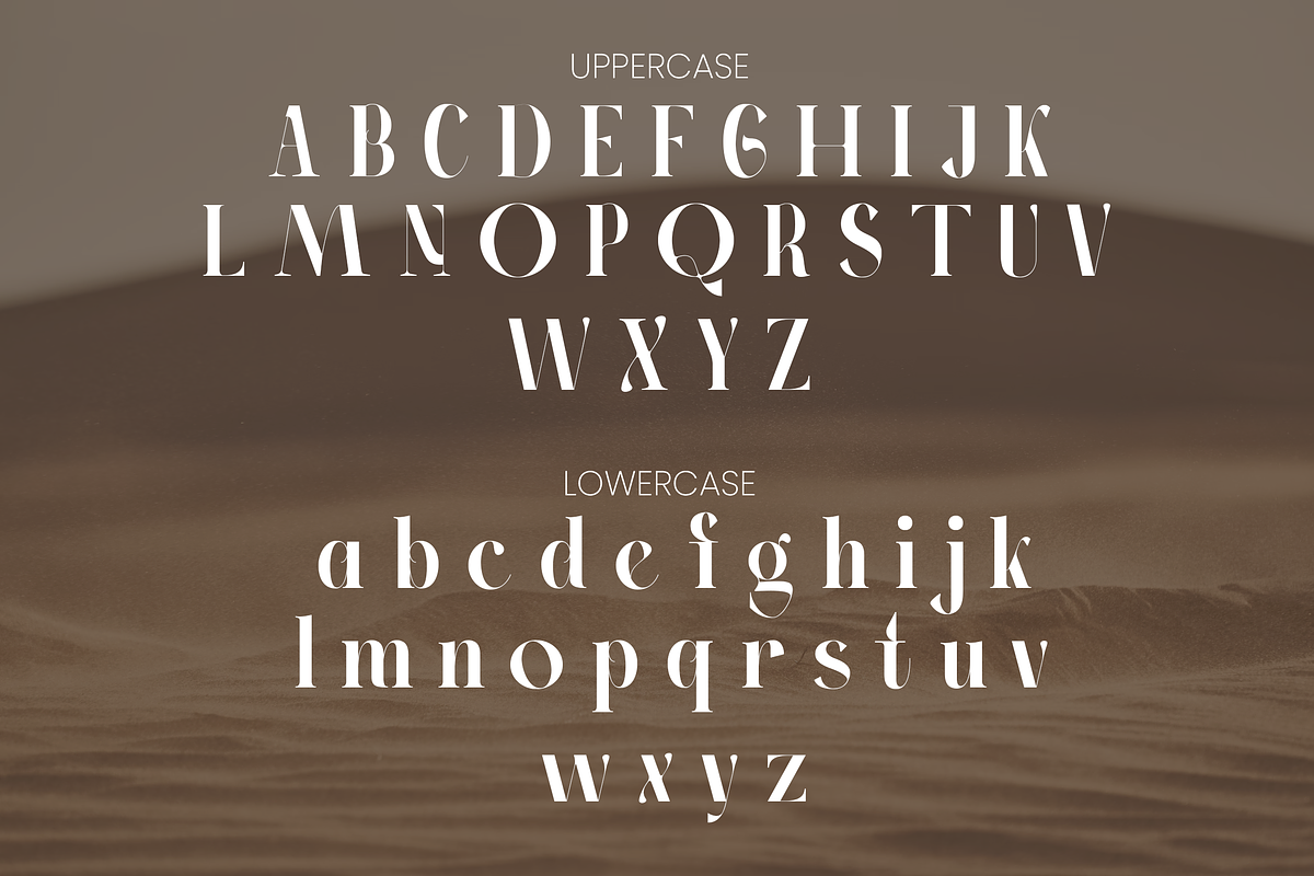 Modern and Elegant Serif Font Bundle, a Serif Font by Flat Icons