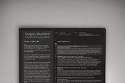 The Professional Pt 2 (Midnight), a Resume Template by Valeur Design (Thumbnail 1 of 6)