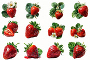 Watercolor strawberry Clipart, an Illustration by Designworld (Thumbnail 3 of 7)