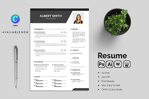 Professional Resume CV Template