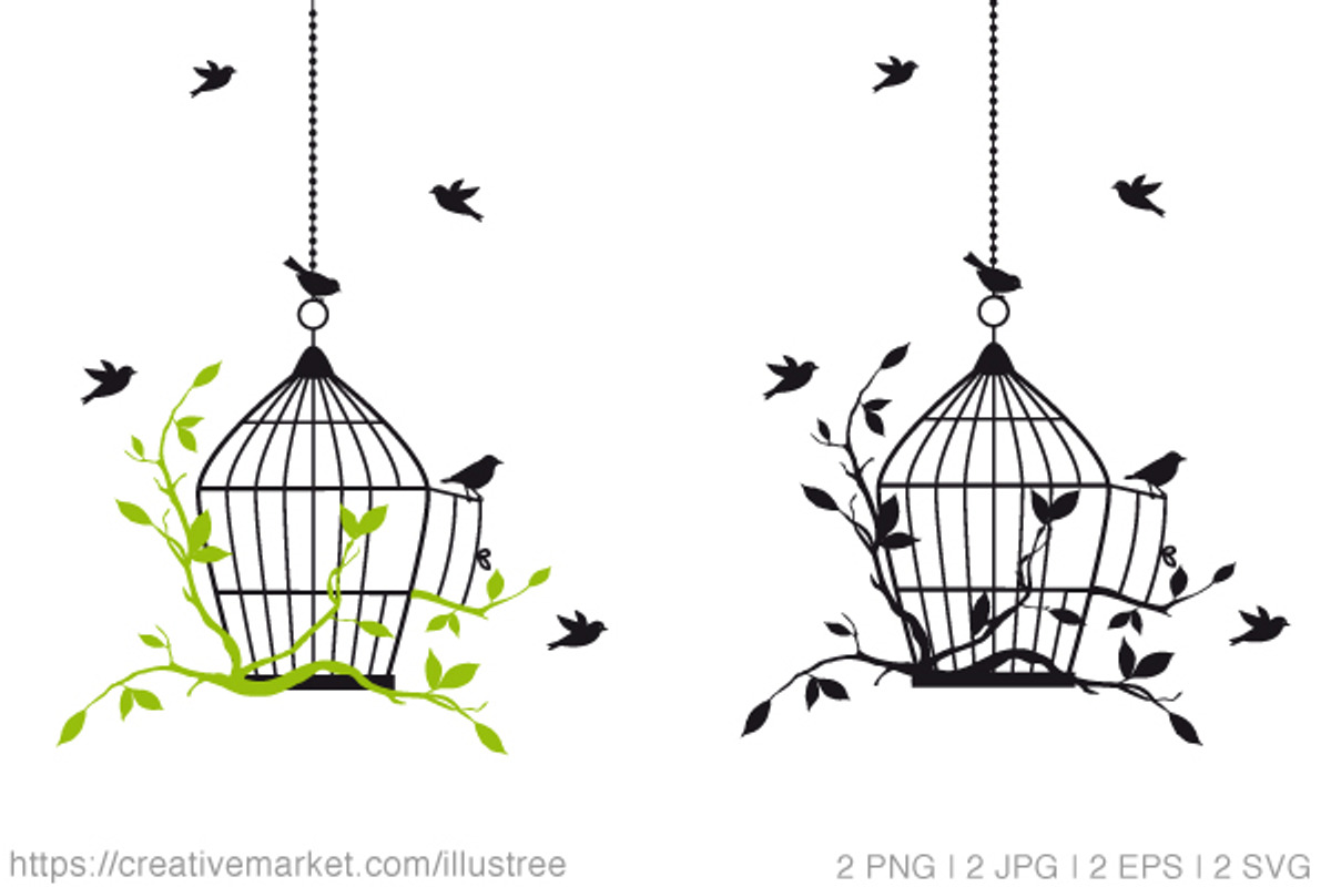 Birdcage with birds, vector, a Decorative Illustration by Illustree
