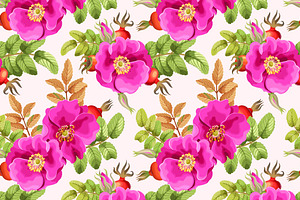 Dog-Rose Patterns