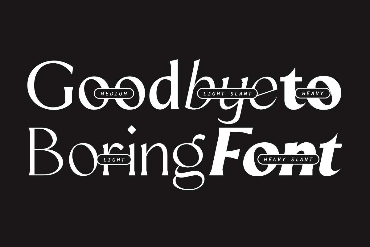 Mizhon Flare | 12 Fonts, a Serif Font by Skinny Type (Photo 2 of 8)