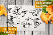 Chanterelles. Mushroom collection, a Food Illustration by Alena Kaz (Thumbnail 2 of 3)
