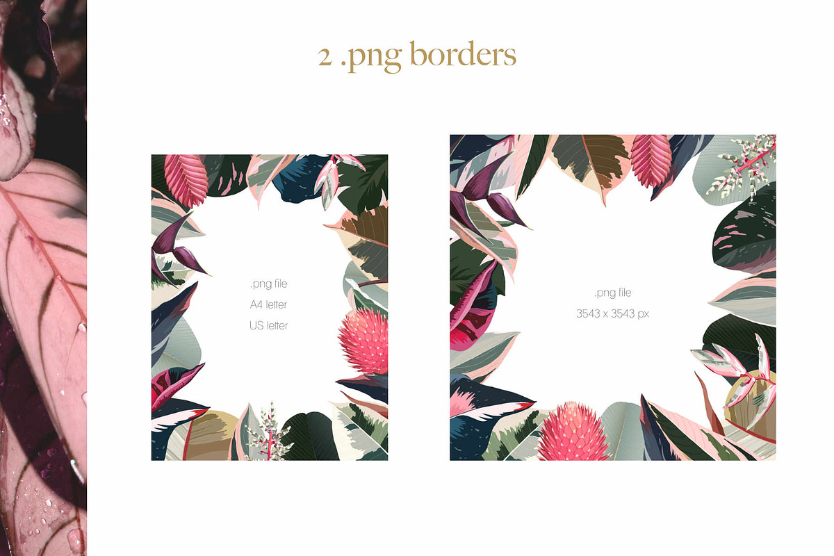 Pink tropical frames and patterns, an Illustration by marie dricot (Photo 4 of 15)