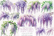 Wisteria Floral Garden Clipart PNG, an Illustration by SinaCreation (Thumbnail 1 of 7)
