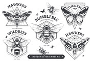 Vintage Insects Vector Set, an Animal Illustration by Vecster (Thumbnail 3 of 4)