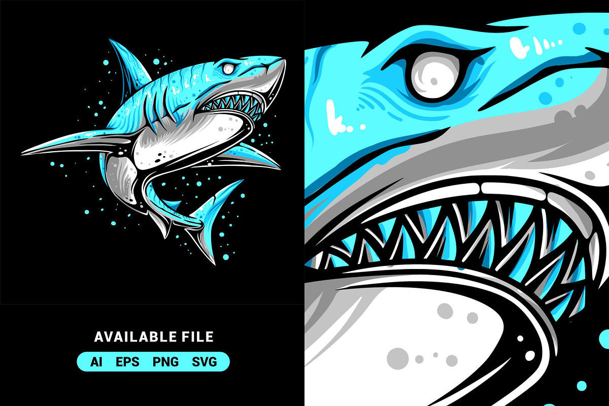 Shark Vector Illustration