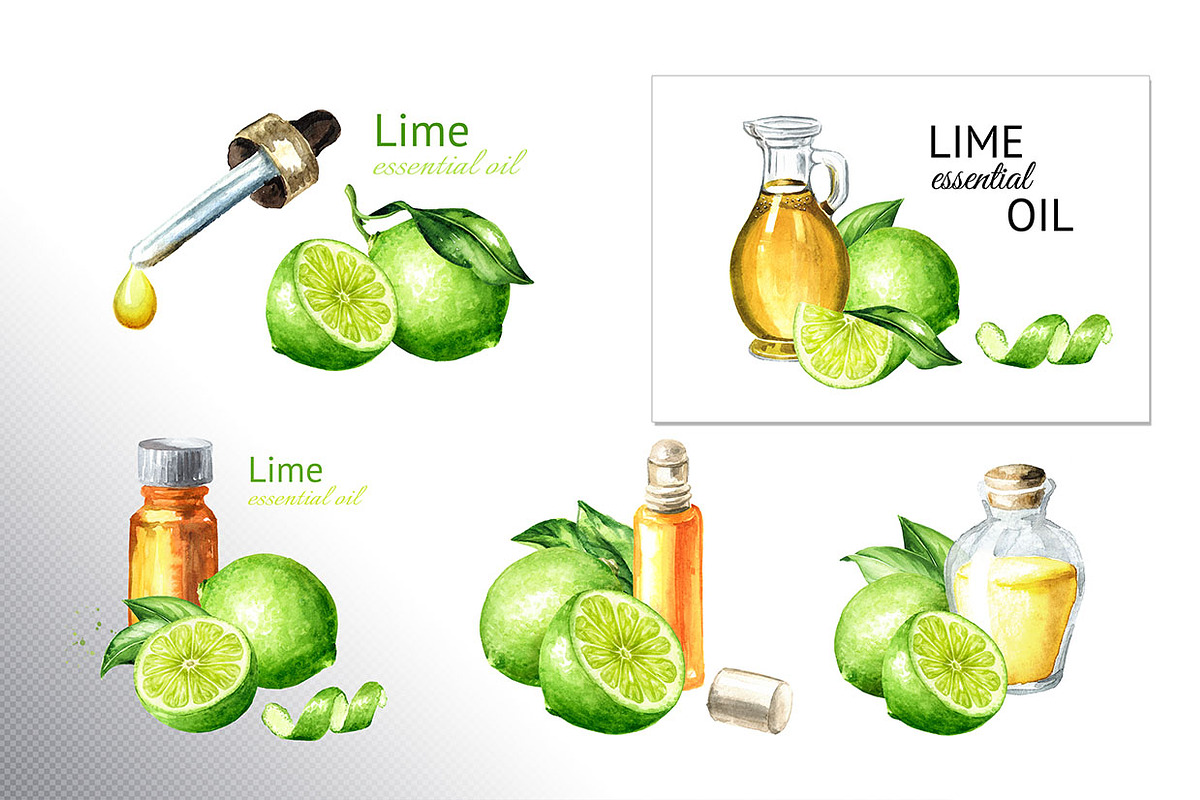 Lime citrus. Watercolor collection, a Food Illustration by Daria Ustiugova (Photo 16 of 21)