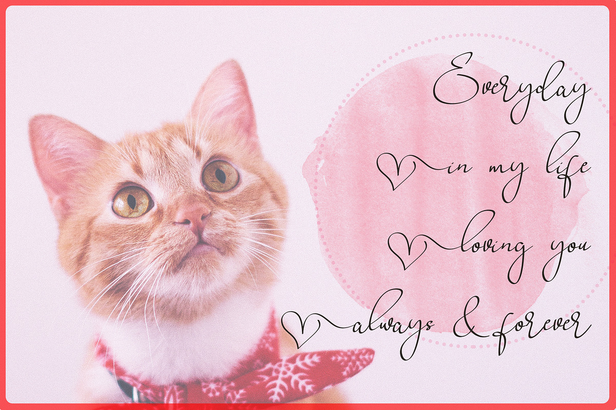 Babes & Bridal | Beautiful Script preview 3