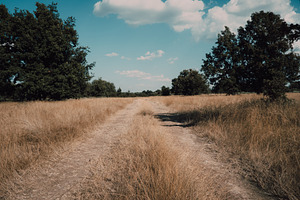 Path stock photo containing clouds and blue