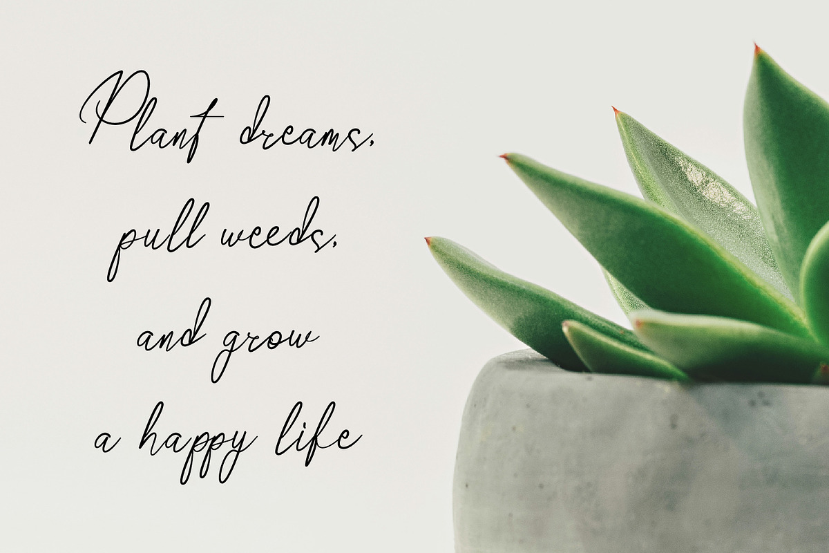 Fost Regard - Signature Script Font, a Script Font by Rishsketch (Photo 6 of 13)