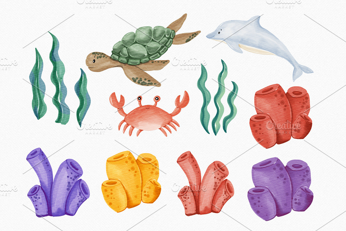 Watercolor Ocean & Sea Animals, an Animal Illustration by MiracleArtAndDesign (Photo 3 of 4)
