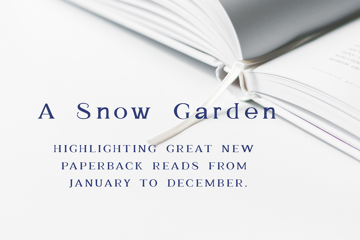 Haganes - Serif font, a Serif Font by Art pages (Photo 7 of 9)