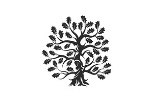Isolated vector oak tree illustratio