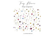 Tiny Flowers Pressed Floral Clipart, an Illustration by whiteheartdesign (Thumbnail 11 of 17)