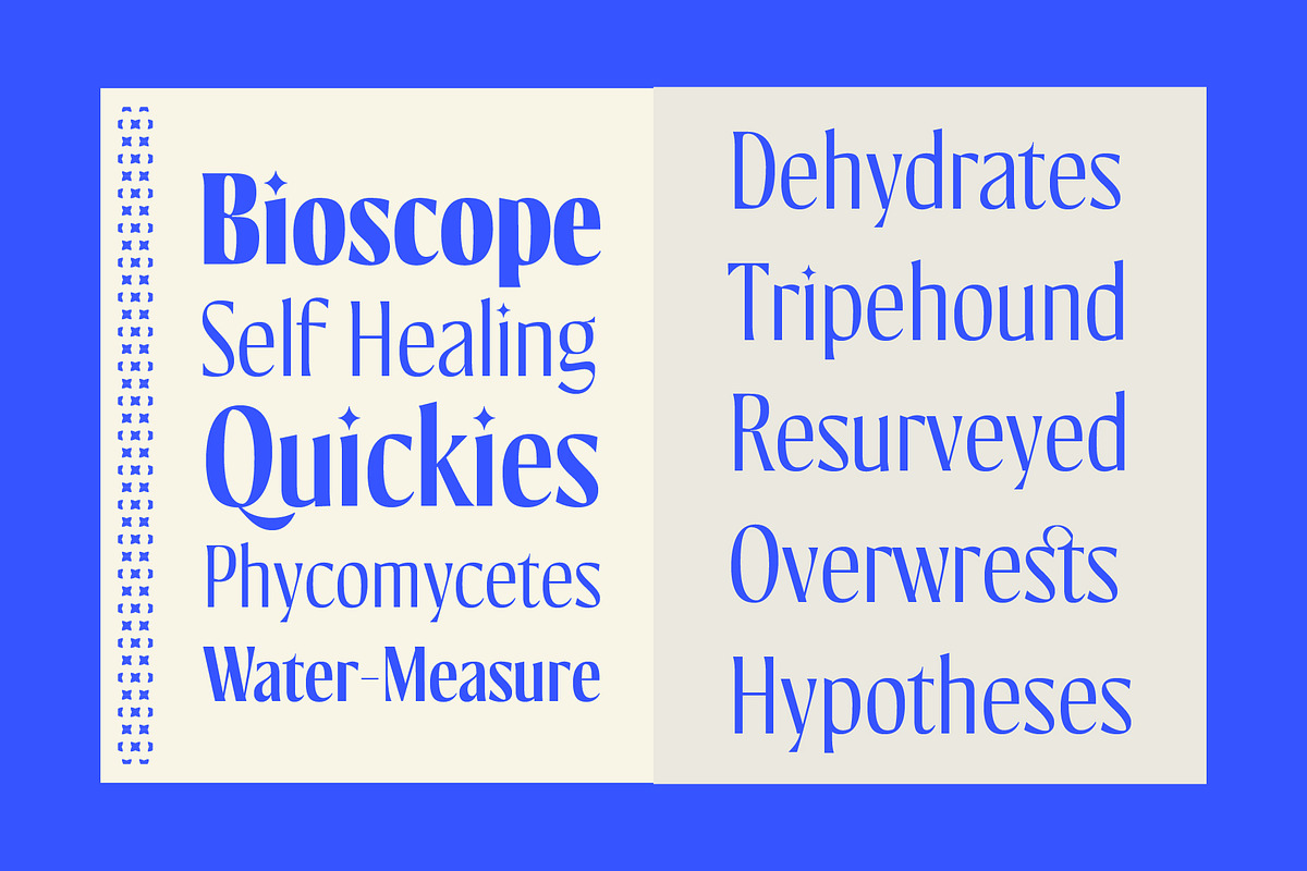 Kiester - Variable Display, a Sans Serif Font by Adam Fathony (Photo 5 of 15)