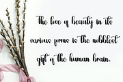Autography, a Handwritten Font by FreshTypeINK (Thumbnail 2 of 7)