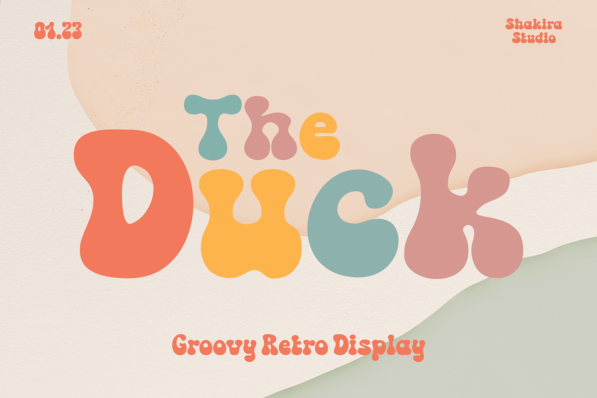 The Duck - Groovy Retro Font, a Serif Font by Shakira Studio (Photo 12 of 12)