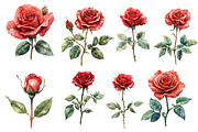 Watercolor Red Rose Clipart, an Illustration by Designworld (Thumbnail 2 of 4)