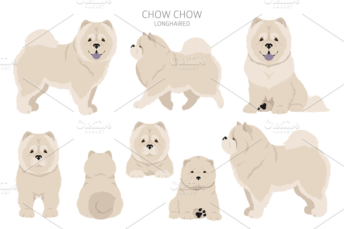 Chow chow (longhaired) clipart, an Animal Illustration by pet design shop (Photo 7 of 9)