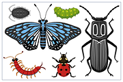 Bugs Collection Set A, an Animal Illustration by arsansp (Thumbnail 3 of 5)