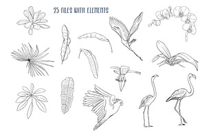 Tropical Plants And Birds Outline