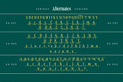 Kronaby Typeface, a Serif Font by alit design (Thumbnail 14 of 16)